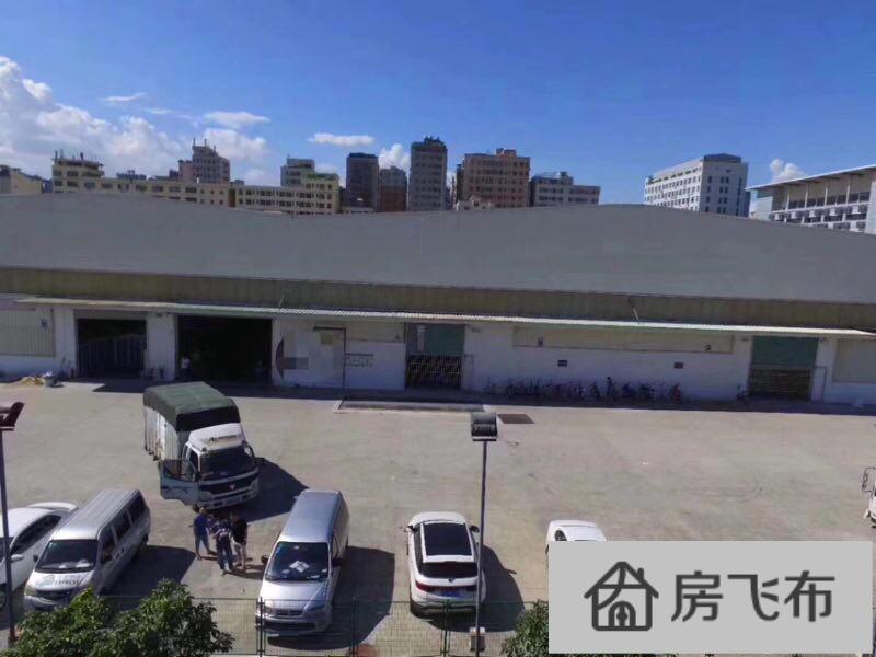 (出租) 一楼钢结构厂房物流仓库500平起租杨美地铁站空地大