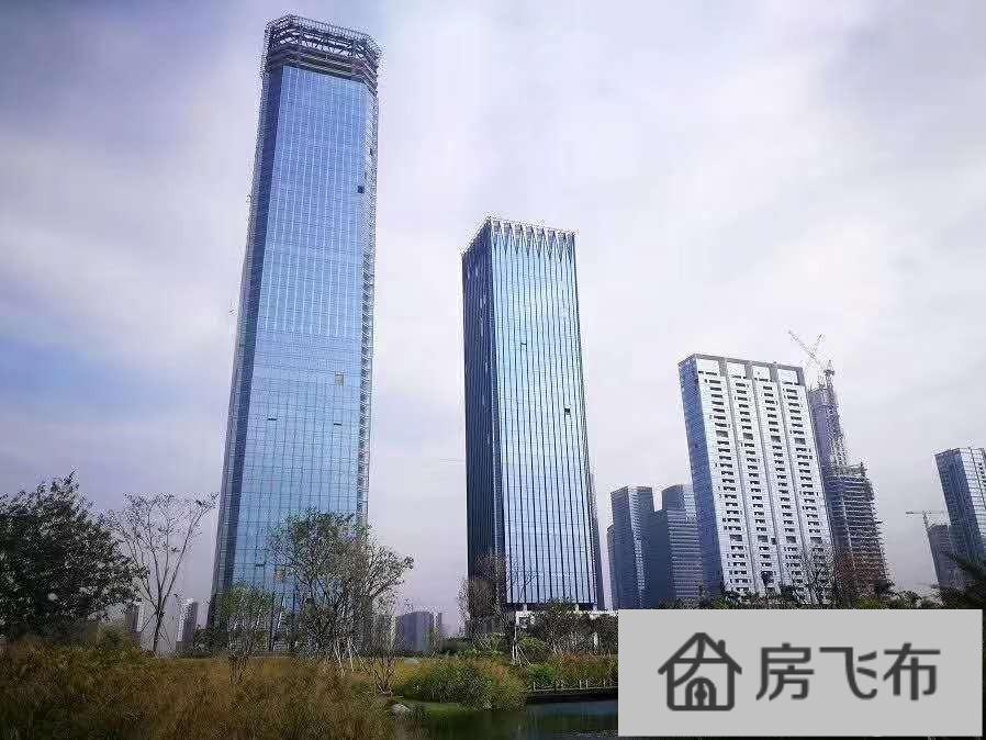 (出售) 前海 现楼出售《桂湾前海金融中心》630平一线海景