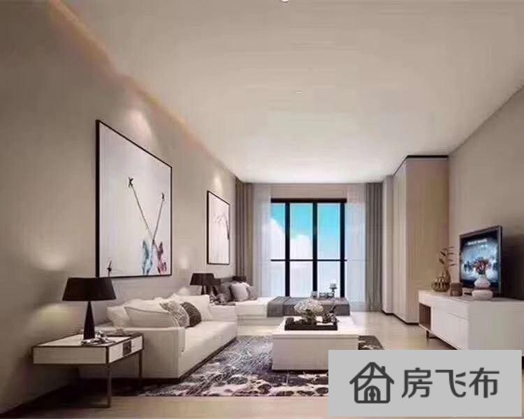 (出售) 龙岗华南城阿玛尼精装两房公寓 单价1.68万