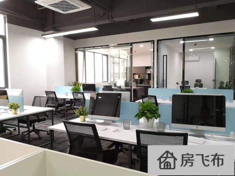 (出租) 兴东地铁站创意园独栋写字楼大小型办公室整层红本租赁