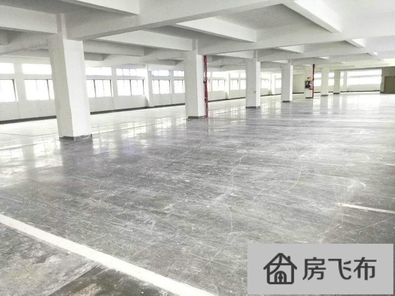 (出租) 南山西丽王京坑工业区1楼1600可做仓库加工卸货台