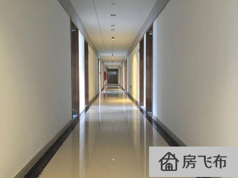 (出售) 华南城电商中心商业写字楼,首付20万万,正地铁口