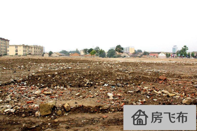 (出售) 肇庆 四会 国有独立红本产权工业用地（土地） 15亩起 招商