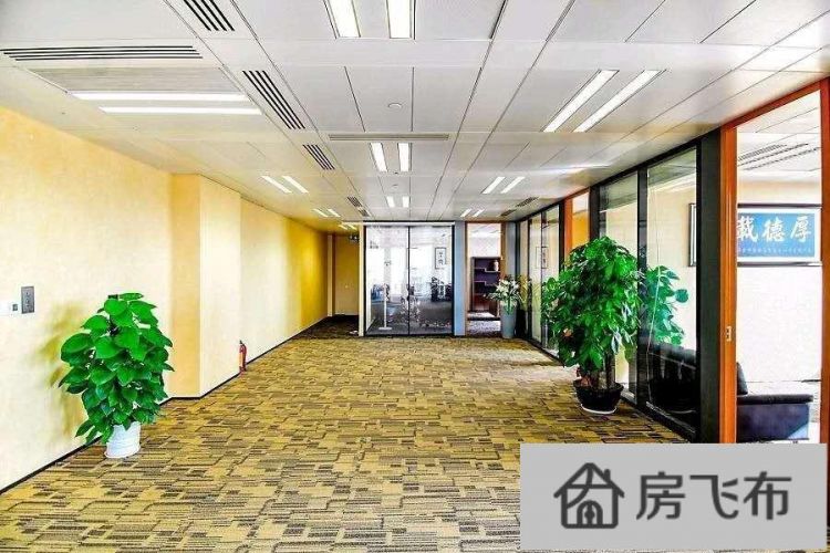 (出租) 地标建筑免一个月租金 京基100 豪装200平景观