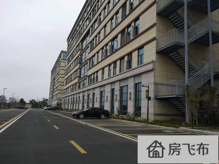 (出售) 深圳龙岗中心地铁口红本100000平米厂房出售
