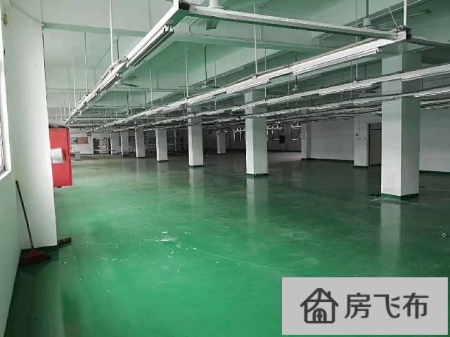 (出租) 福永塘尾工业区新出租880平厂房 原业主直租