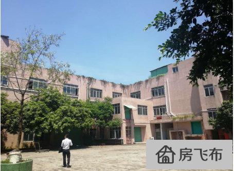 (出售) 深圳市龙岗坪地镇建筑16000平米优-质工业厂房出售