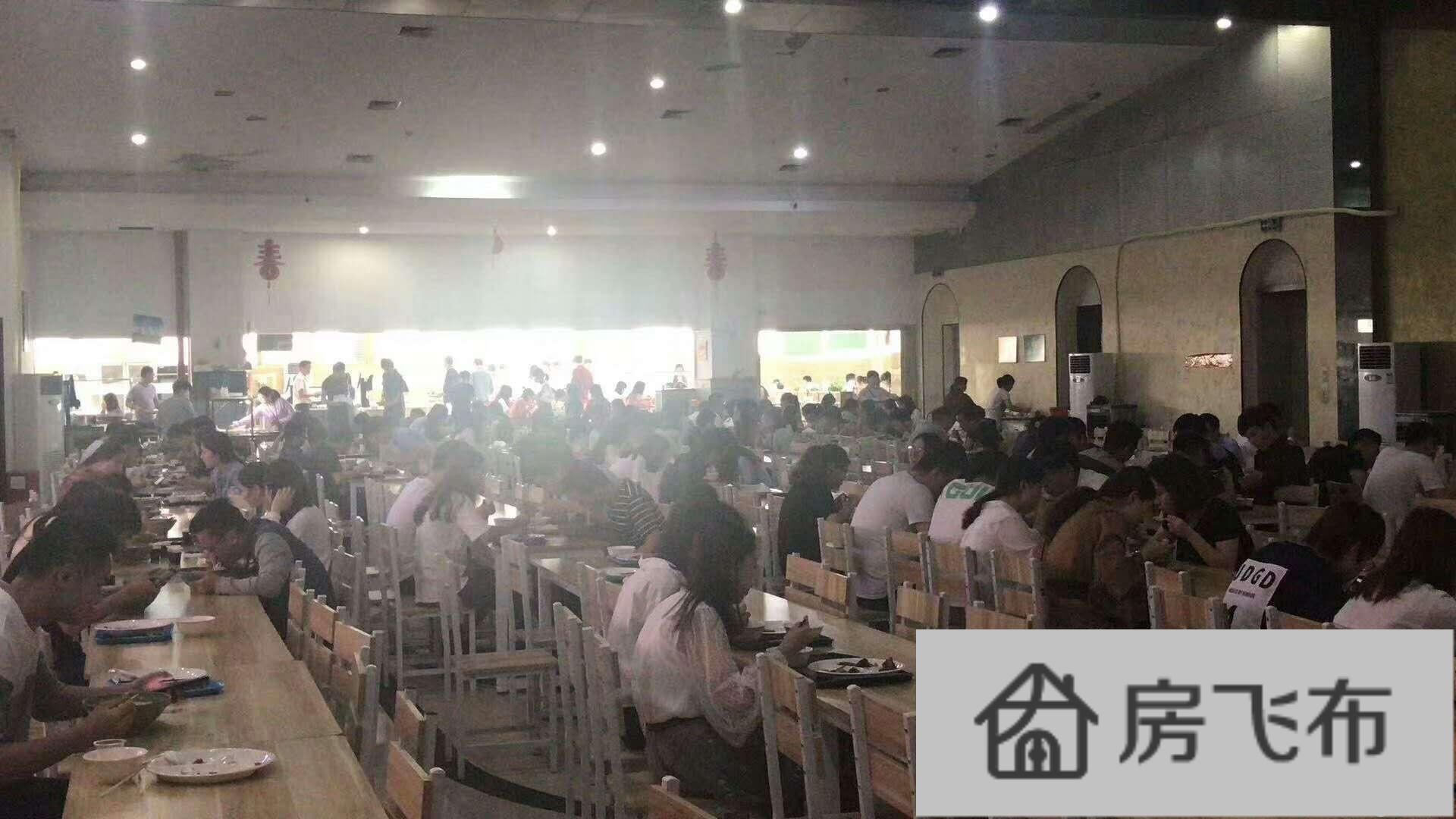 (出租) 坂田园区招租啦拥有八千人的大食堂500个公共座位