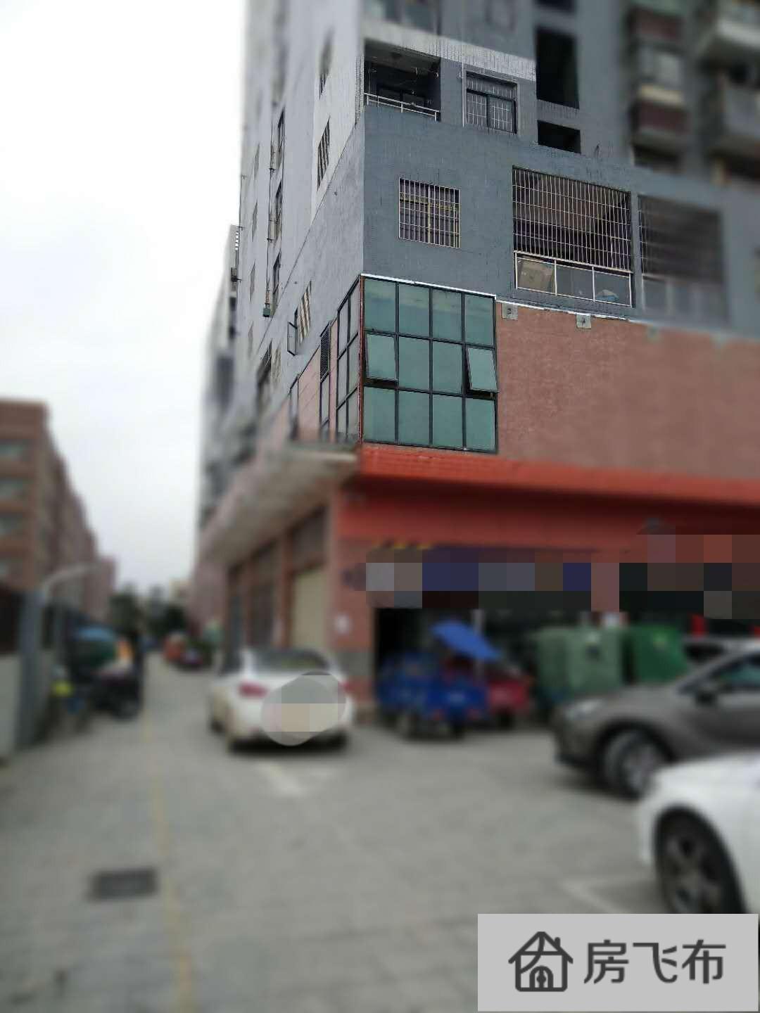 (出租) 龙华公寓楼+双门面路口，稳 守几十栋楼便利店靓铺