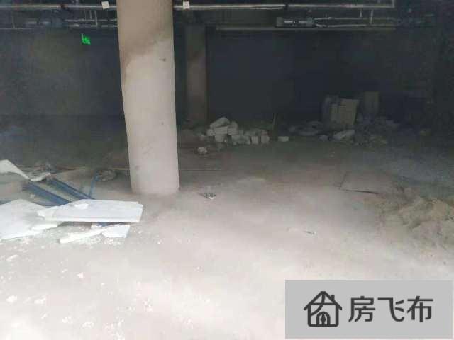 (出租) 华强北深圳电子科技大厦写字楼底商800㎡有燃气