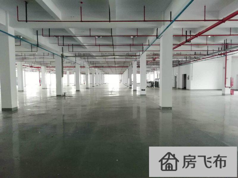 (出租) 相城漕湖大道新建厂房27000平米出租 可分租