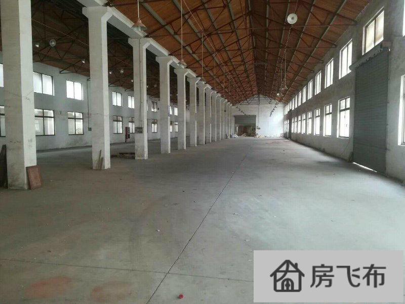 (出租) 渭塘4000平单一层人字顶厂房，高7米，交通方便。