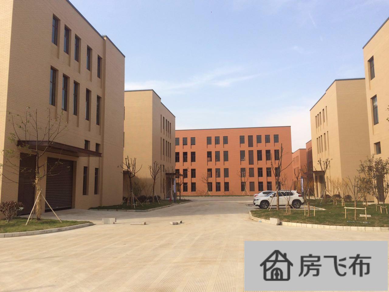 (出售) 开发商一手，江宁大学城全新独栋厂房，有产权可按揭