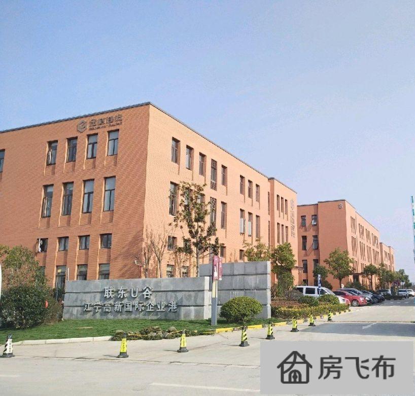 (出售) 江宁滨江开发区锦文路与天成路交叉口600-3600独栋多层厂