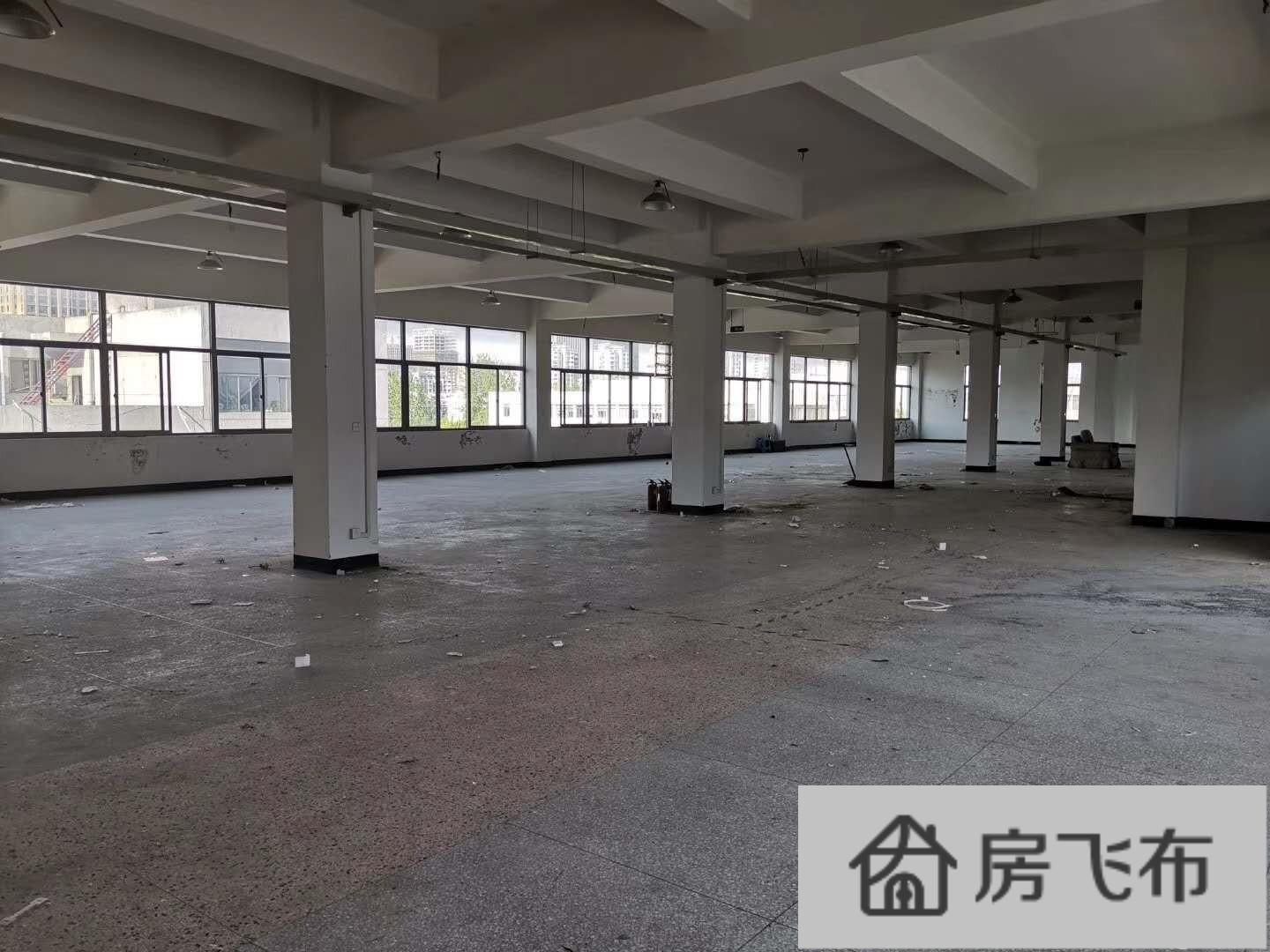 (出租) 滨江900方 层高4.5米适合摄影淘宝仓库等等